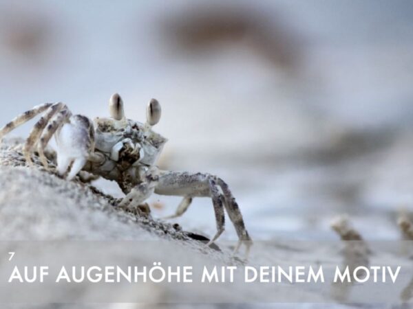 eBook Spezial-Paket - 50 Tipps für deine Bildgestaltung – Bild 3